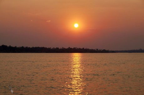 Zambezi  river