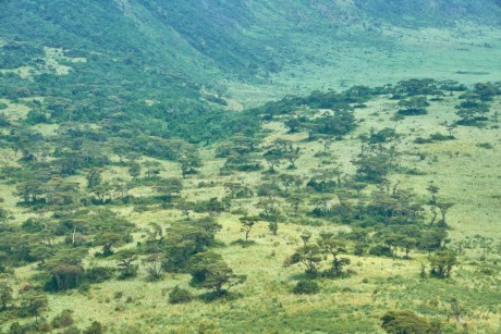 Craters area, Queen Elizabeth national park