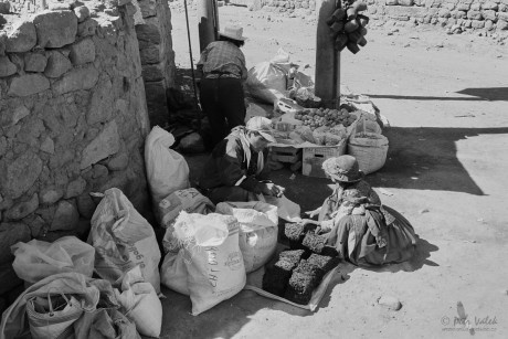 Lidé Quechua,   Altiplano