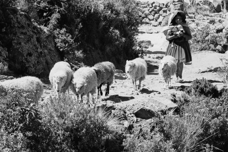 Lidé Aymara,      Titicaca