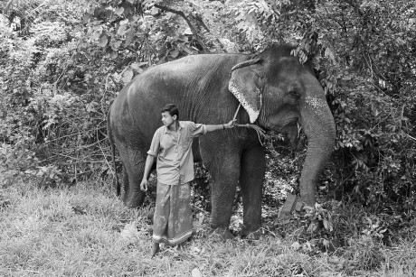 Mahout,  Balagollagama