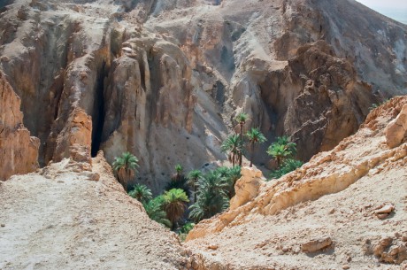 Tamerza Oasis