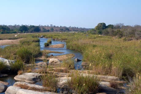 Sabie River,  Kruger National Park