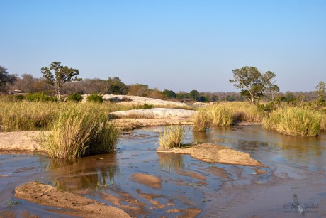 Sabie River,   Kruger National Park