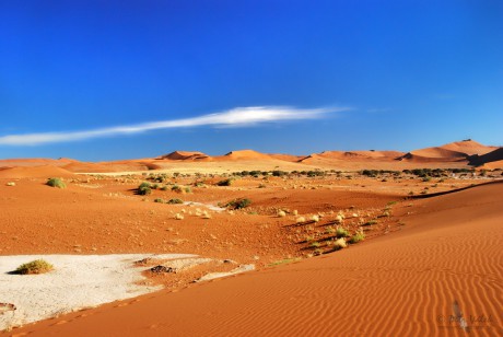 Namib Desert