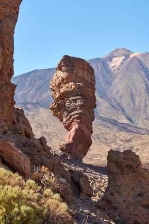 Roque  Cinchado