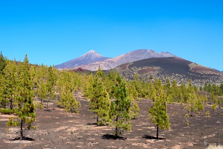 Pico de Teide