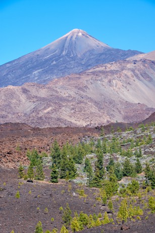 Pico de  Teide