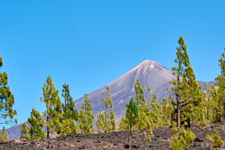 Pico de   Teide