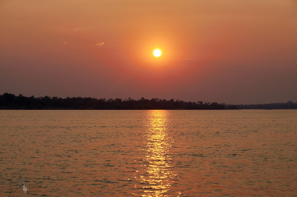 Zambezi  river