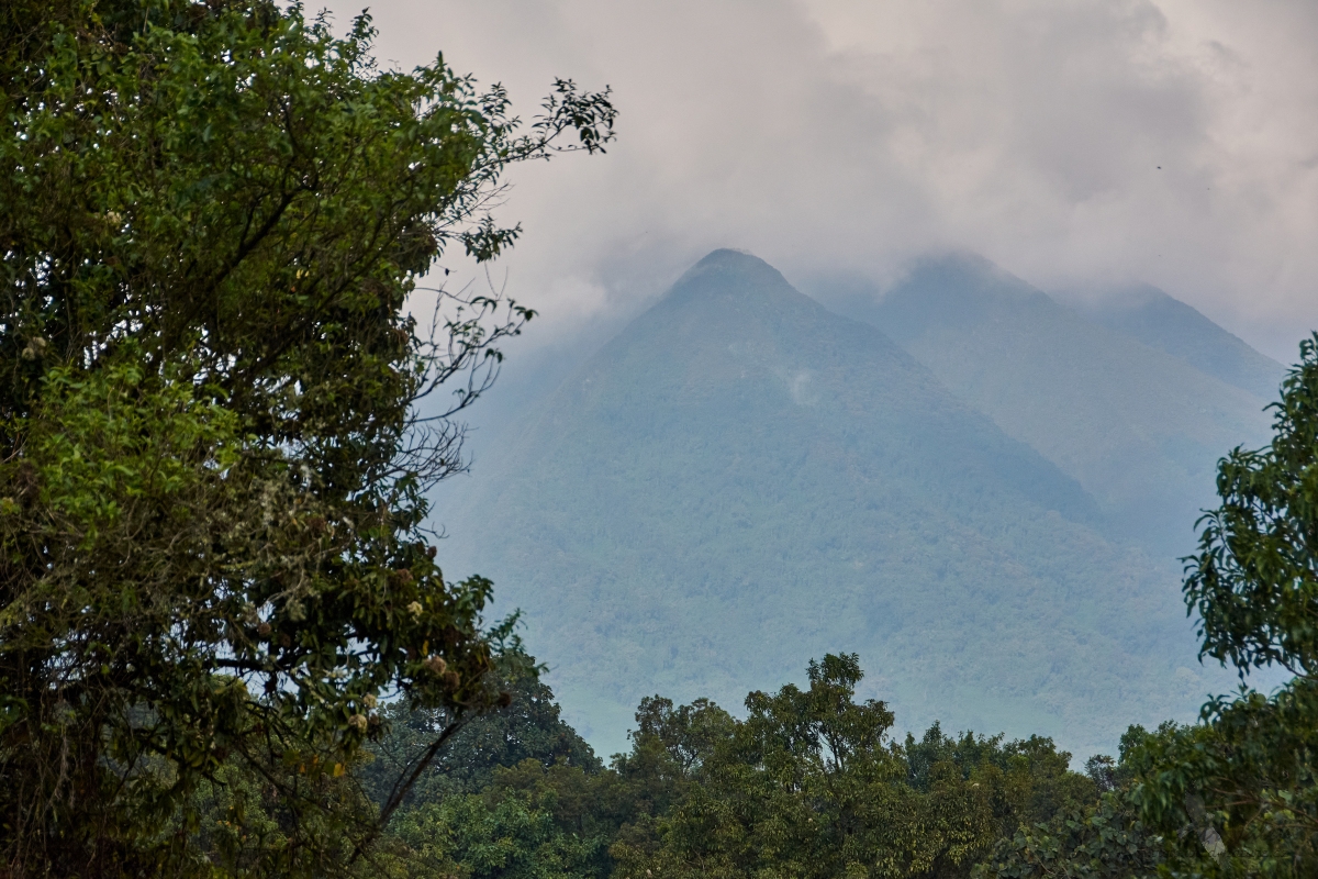 Virunga Mountains
