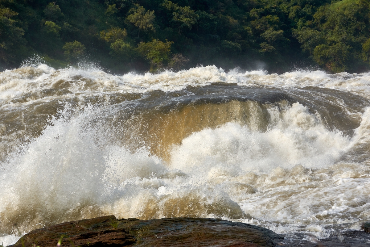 Murchison  Falls