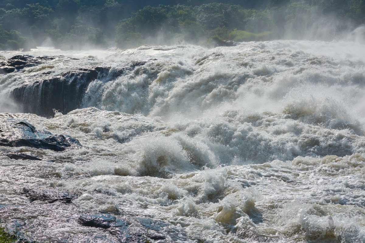 Murchison   Falls