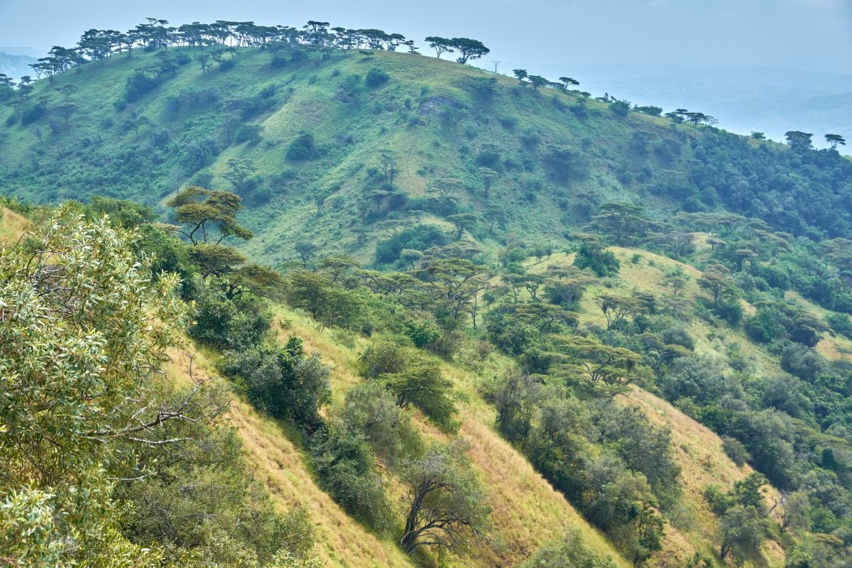 Craters area,  Queen Elizabeth national park