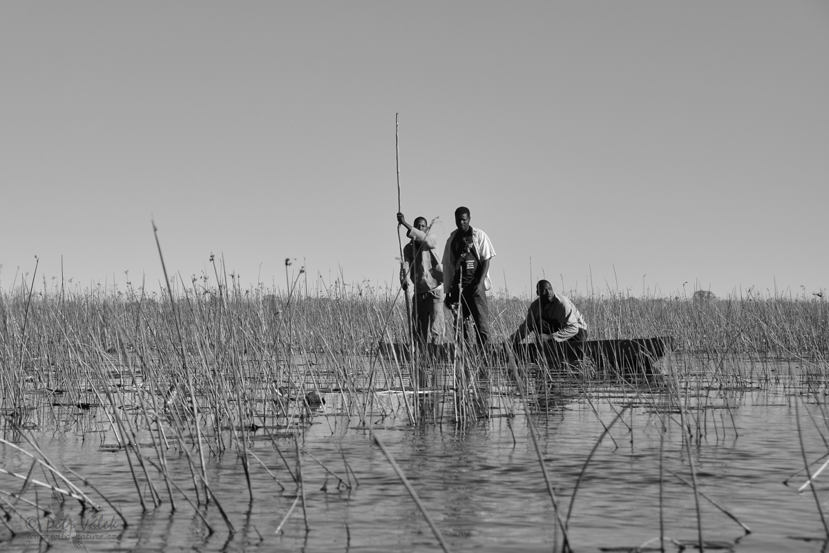 Rybáři z Okavanga