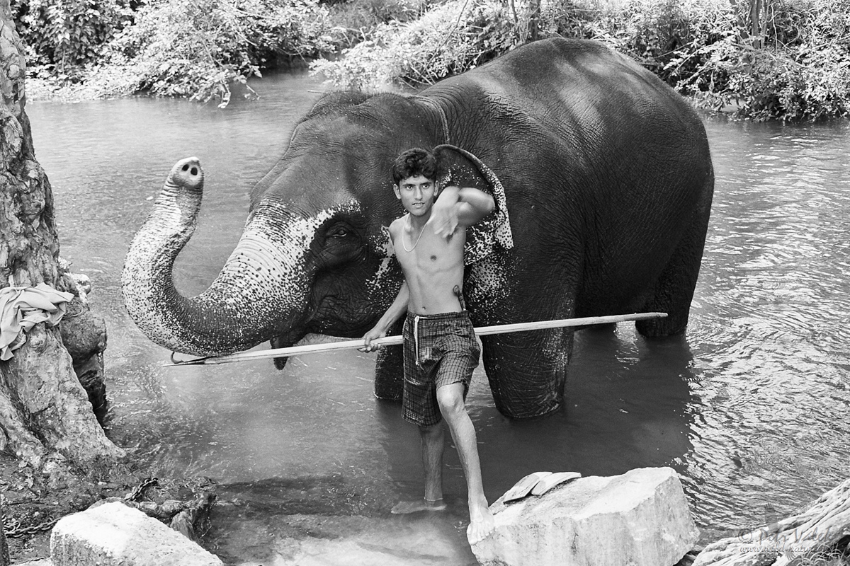 Mahout,   Balagollagama