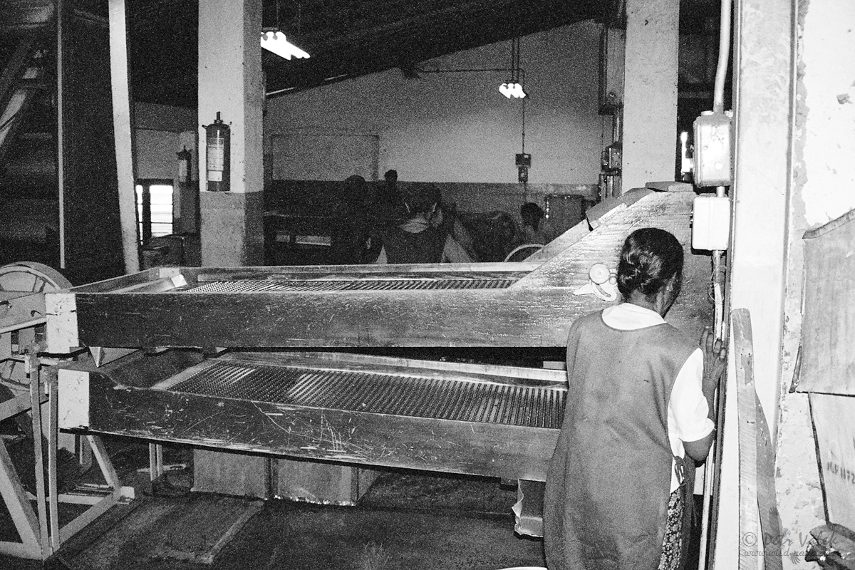 Tea factory,  Nuwara Eliya