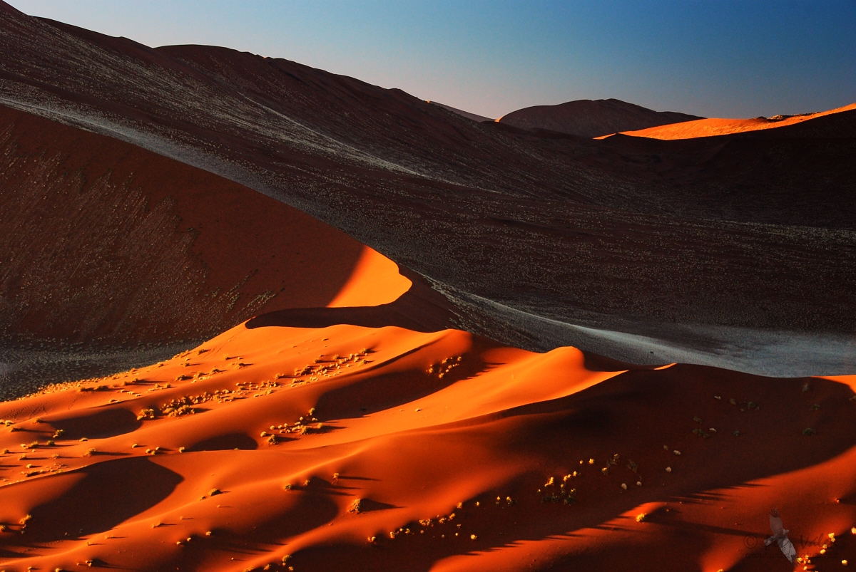 Sossusvlei dunes