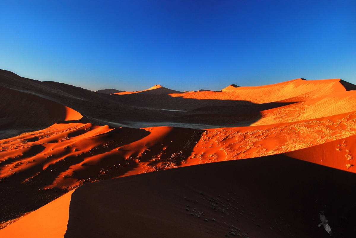 Sossusvlei   dunes