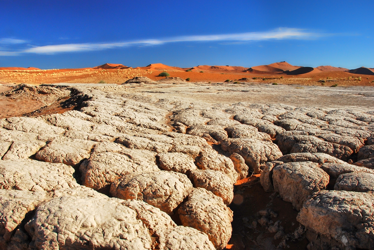 Namib  Desert