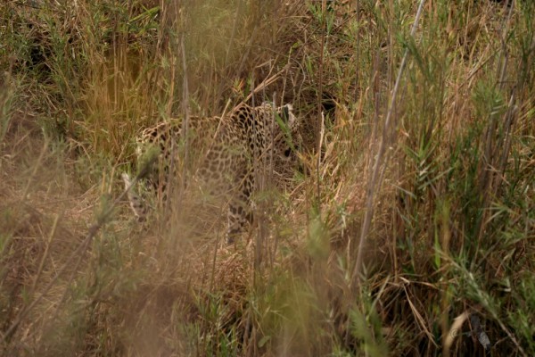 dsc_2114.jpg