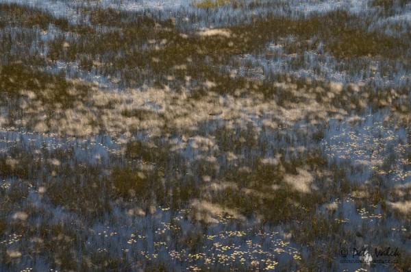 dsc_3648.jpg
