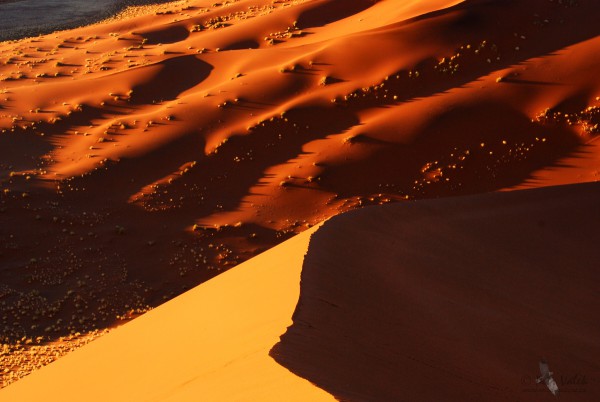 sossusvlei--dunes.jpg